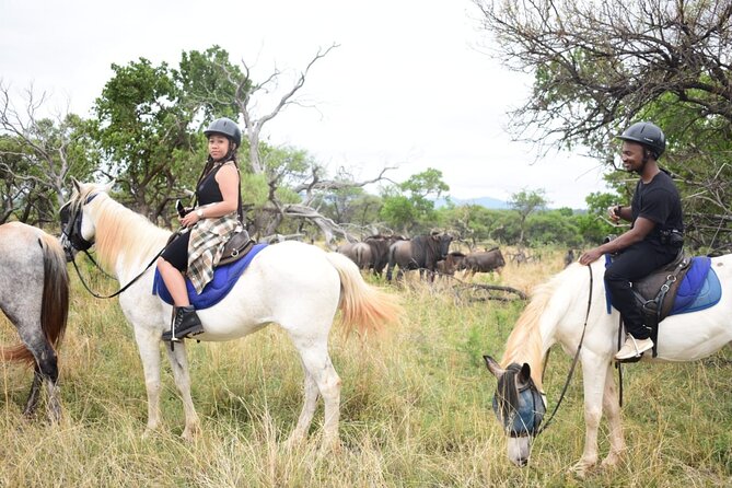 Harties Horse Trail Safari Half Day - Horseback Safari