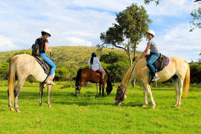 Harties Horse Trail Safari Half Day - Wildlife Viewing