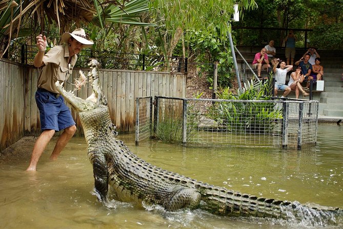 Hartleys Crocodile Adventure Half-Day Tour - Boat Tour Through the Wetlands