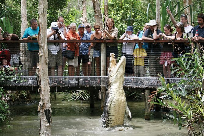 Hartleys Crocodile Adventure Half-Day Tour - Cassowary Walk and Flightless Birds