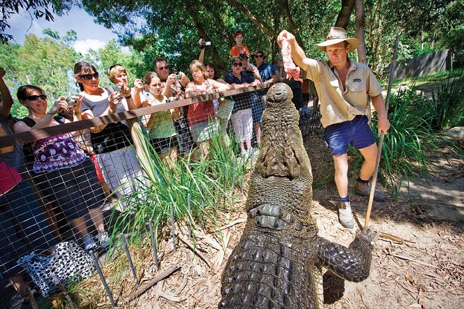 Hartleys Crocodile Adventure Half-Day Tour - Live Shows and Feedings Schedule