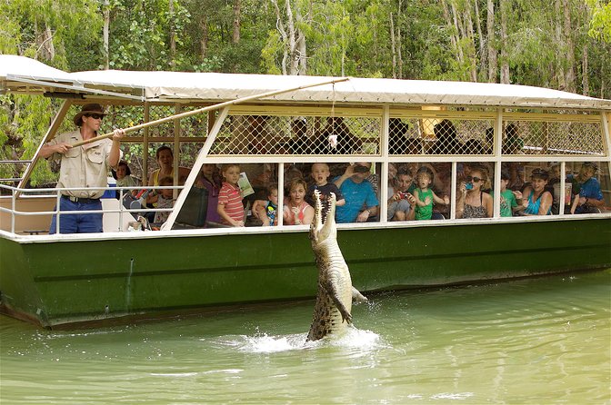 Hartleys Crocodile Adventure Half-Day Tour - Crocodile Farm Tour and Sustainable Farming
