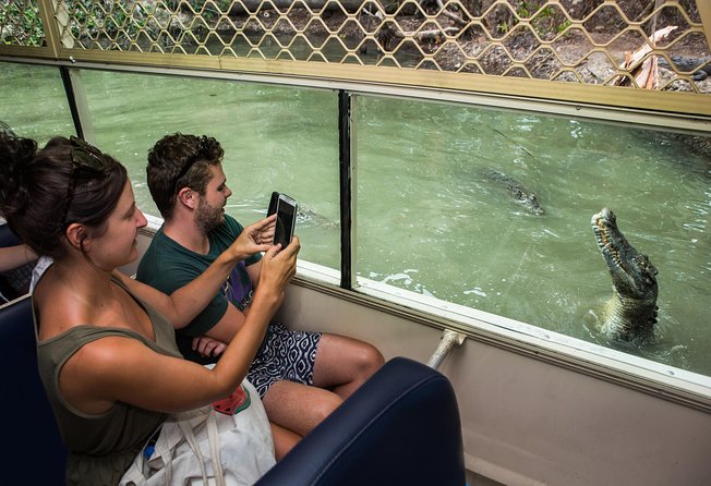 Hartleys Crocodile Adventures Breakfast With the Koalas - Engaging With the Koalas