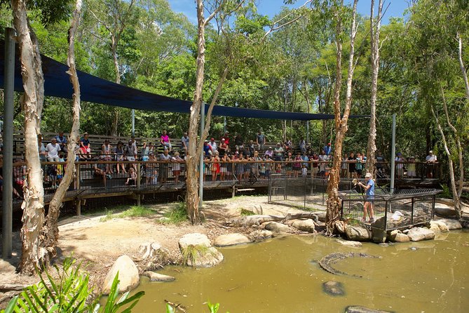 Hartleys Crocodile Adventures Breakfast With the Koalas - Visitor Feedback and Ratings
