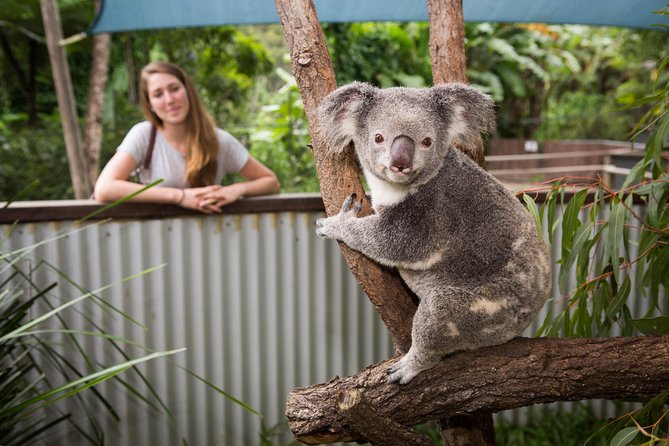 Hartleys Crocodile Adventures Day Trip From Cairns - Booking and Ticket Information