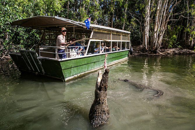 Hartley's Crocodile Adventures Day Trip from Palm Cove - Key Points