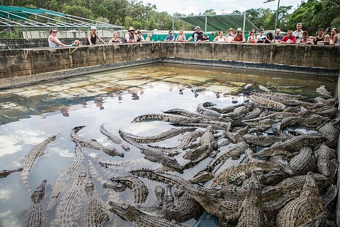 Hartley's Crocodile Adventures Day Trip from Palm Cove - FAQ