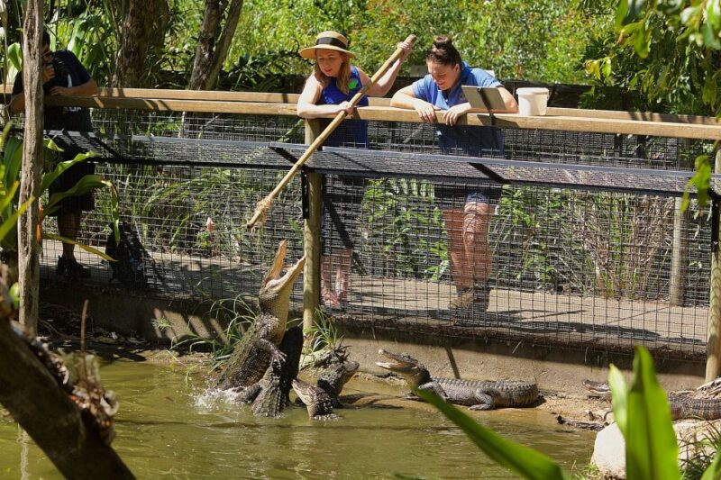 Hartleys Crocodile Aventures: Reptastic Entry Ticket - Experience Overview