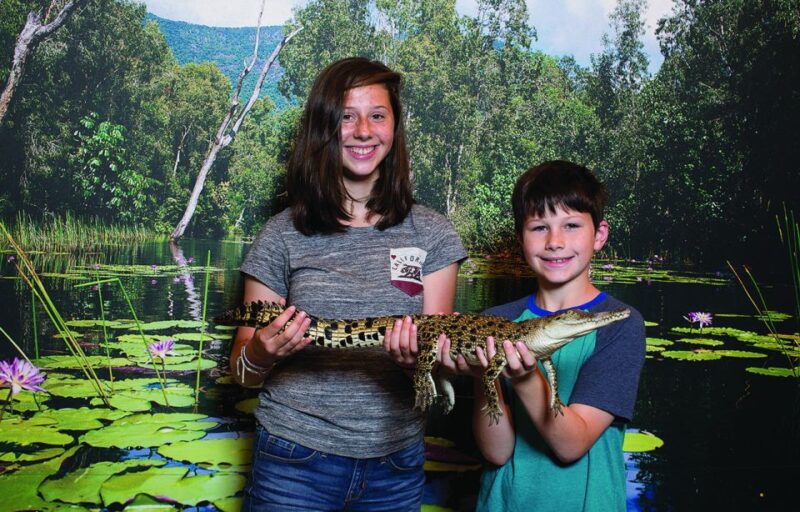 Hartleys Crocodile Aventures: Reptastic Entry Ticket - Boat Cruise Experience