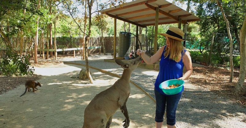 Hartleys Crocodile Aventures: Zootastic 5 Entry Ticket - Recap