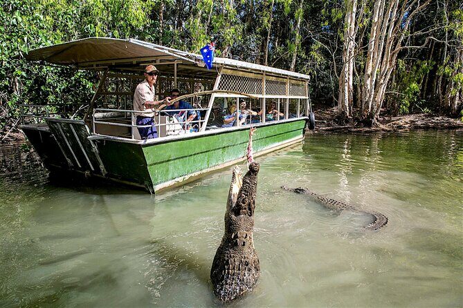 HARTLEY'S CROCODILE TRANSFER between Port Douglas & Hartley's Crocodile (return) - An In-Depth Look at the Transfer Service