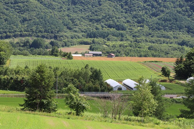 Harvest Experience in Akaigawa With Lunch Freshly Picked Veggies - Enjoying the Homemade Lunch