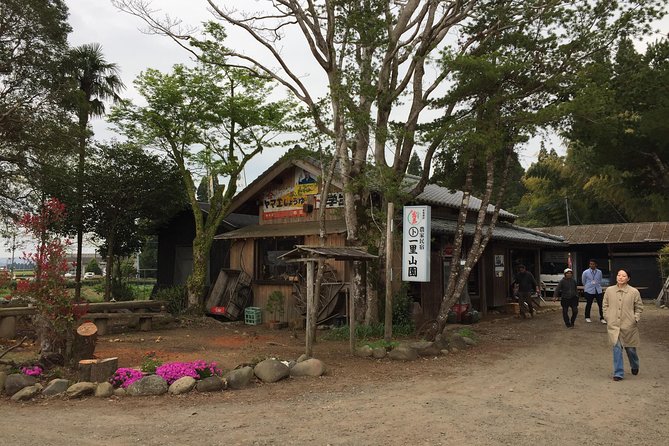 Harvest Experience (Rural Cuisine Using Seasonal Vegetables) - Key Points