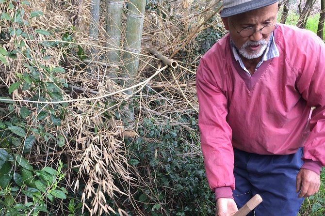 Harvest Experience (Rural Cuisine Using Seasonal Vegetables) - Group Size and Suitability