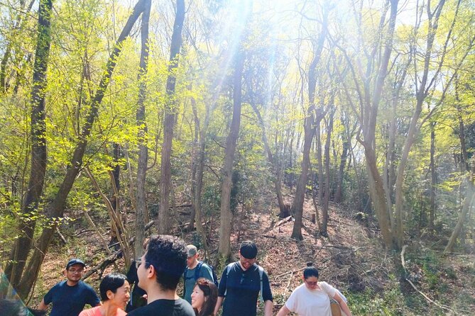 Harvest Organic Vegetables, Make Local Udon & Tempura, Forest Hiking! - Taiwanese Tea and Baked Goods