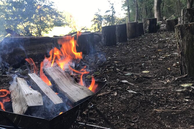 Harvest Organic Vegetables, Make Local Udon & Tempura, Forest Hiking! - Cancellation Policy