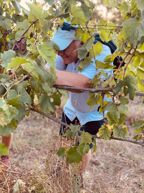 Harvest - Key Points
