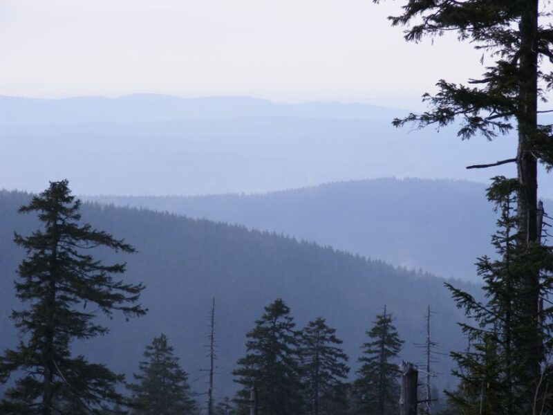 Harz Mountains Day Trip - Itinerary Highlights
