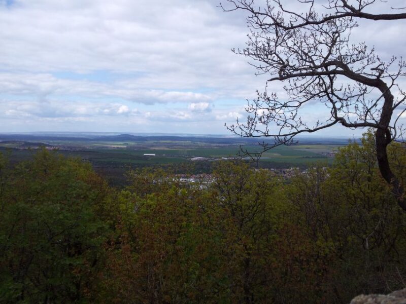 Harz Mountains Day Trip - Inclusion and Accessibility