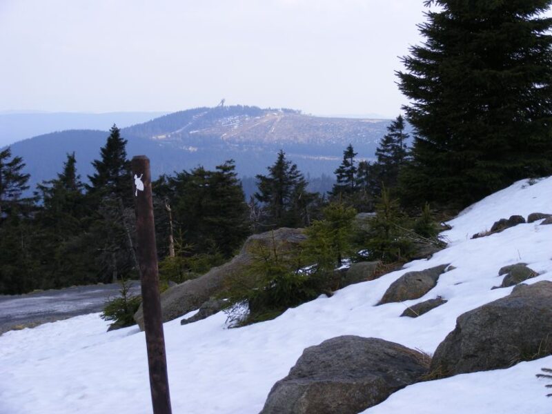 Harz Mountains Day Trip - Customer Feedback