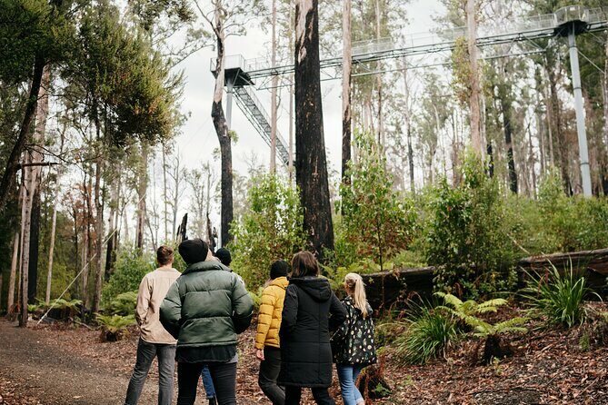 Hastings Caves, Tahune Airwalk and the Huon Tasting Trail - A Well-Rounded Day in Tasmania’s South