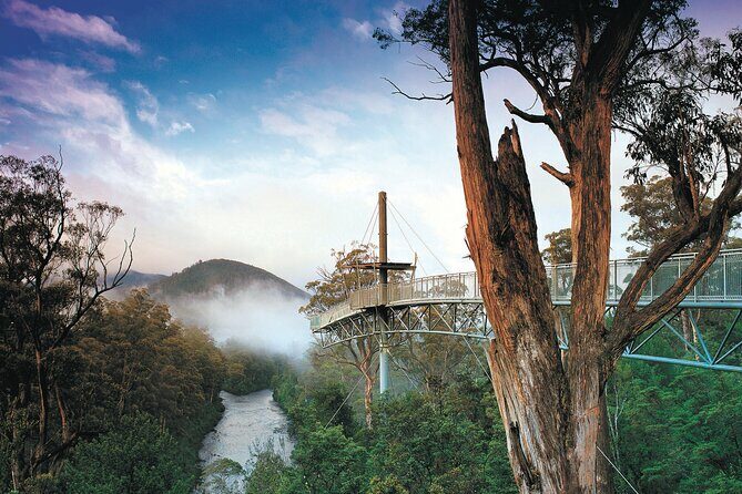 Hastings Caves, Tahune Airwalk and the Huon Tasting Trail - The Underground Marvel: Hastings Caves and Thermal Springs