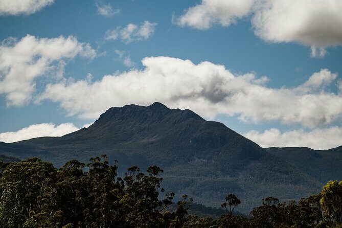 Hastings Caves, Tahune Airwalk and the Huon Tasting Trail - A Sweet Finish: Cider Tasting and Apple Pie