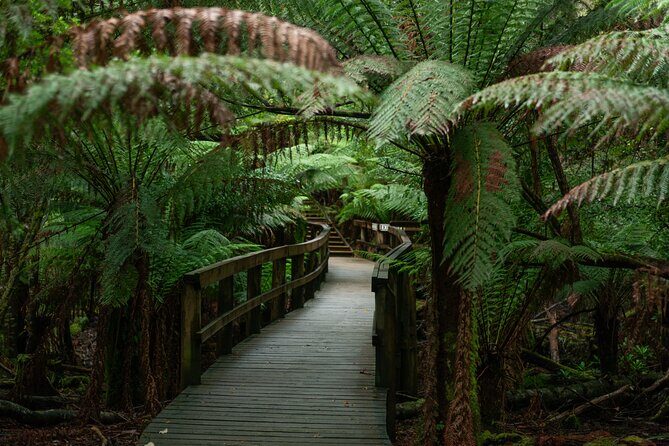 Hastings Caves, Tahune Airwalk and the Huon Tasting Trail - Transportation and Practicalities