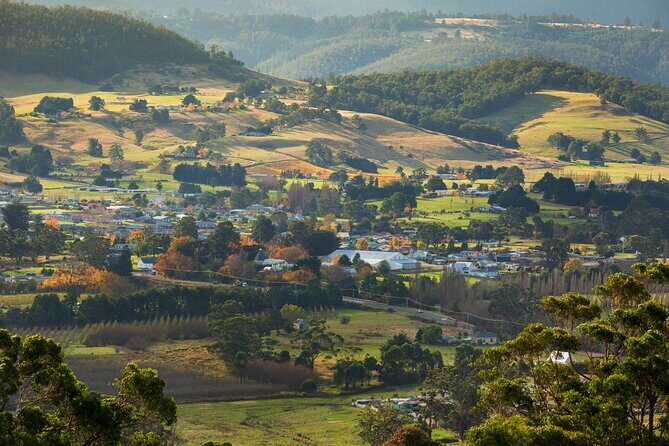 Hastings Caves, Tahune Airwalk and the Huon Tasting Trail - Is It Worth the Price?