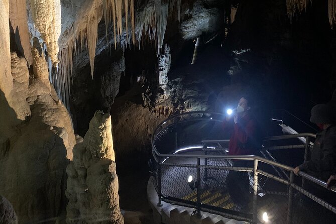 Hastings Caves, Tahune and Huon Valley Full Day Tour From Hobart - Inclusions and Logistics