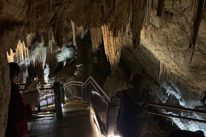 Hastings Caves, Tahune and Huon Valley Full Day Tour From Hobart - Traditional Wooden Boats in Franklin