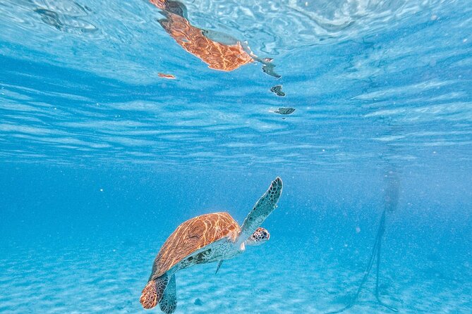 Hato Caves, Turtles & Beach - Suitability and Recommendations