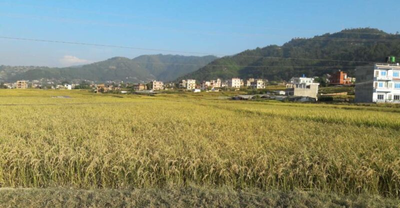 Hattiban - Champadevi: Day Hiking Tour - Key Points