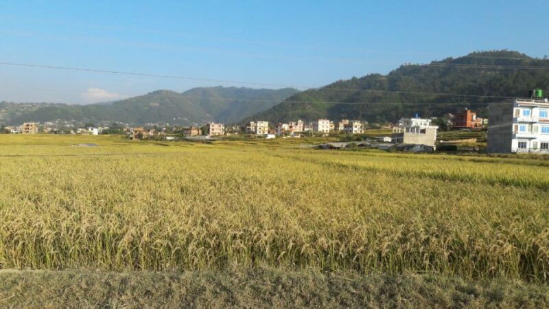 Hattiban - Champadevi: Day Hiking Tour - Itinerary