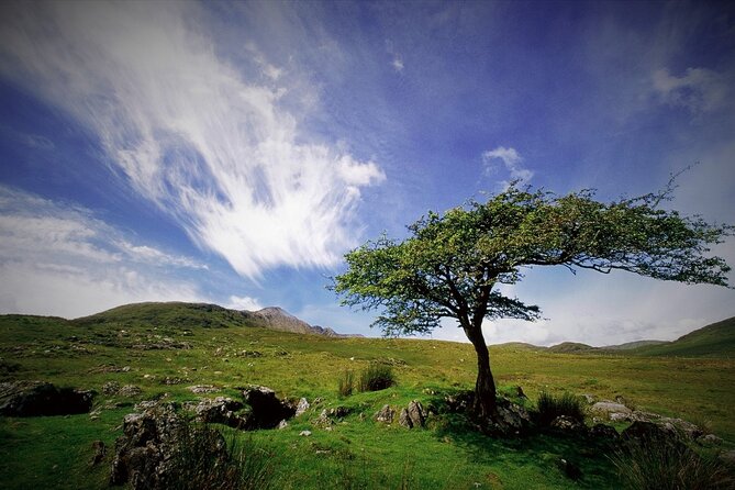 Haunted Bog Road Tour. Galway. Private Guided. 3 Hours - Accessibility and Participation