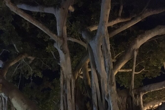 Haunted History of Fort Myers Walking Tour - Transportation Details