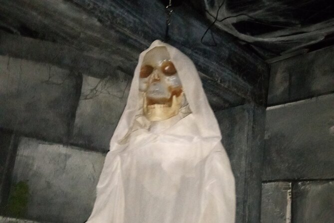 Haunted Mayfield Manor Haunted House Admission - Accessibility and Transportation