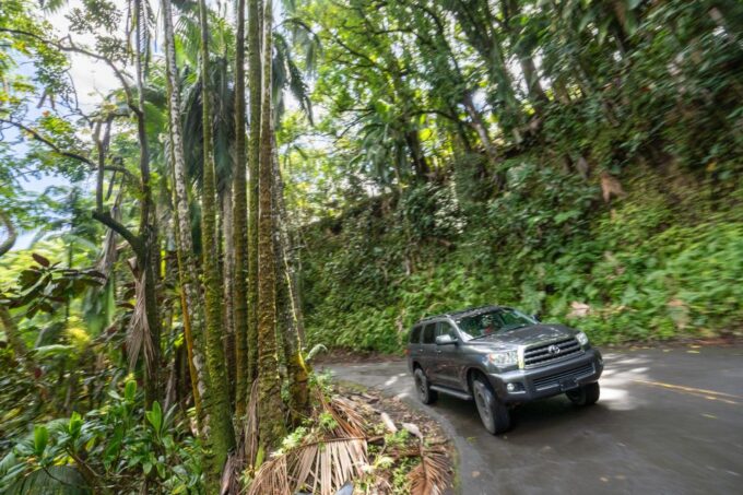 Hawaii: All-Inclusive Volcanoes and Waterfalls Private Tour - Inclusions