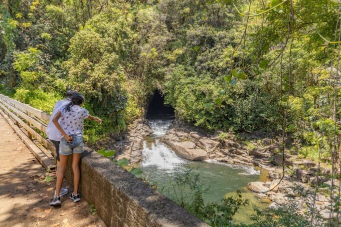 Hawaii: All-Inclusive Volcanoes and Waterfalls Private Tour - Customer Feedback