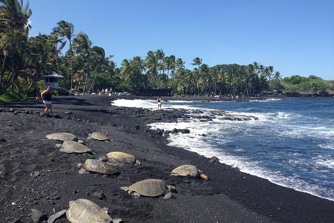 Hawaii Big Island Circle Small Group Tour: Waterfalls - Hilo - Volcano - Black Sand Beach - Inclusions