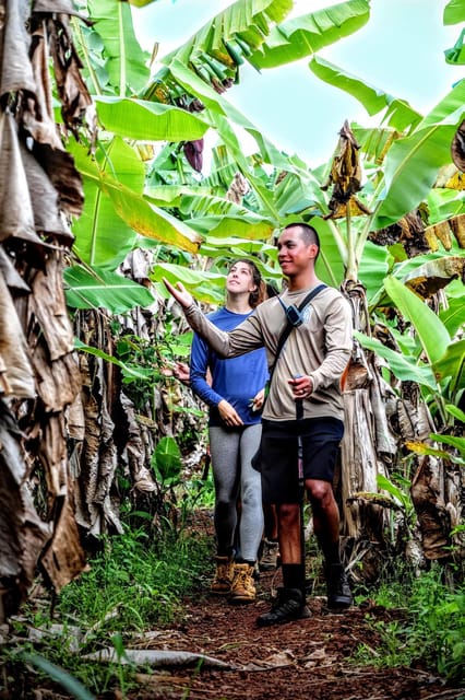Hawaii: Big Island Hilo Waterfall Hiking Tour - Preparation and Requirements