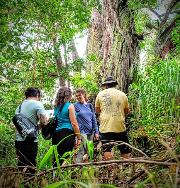 Hawaii: Big Island Hilo Waterfall Hiking Tour - Frequently Asked Questions