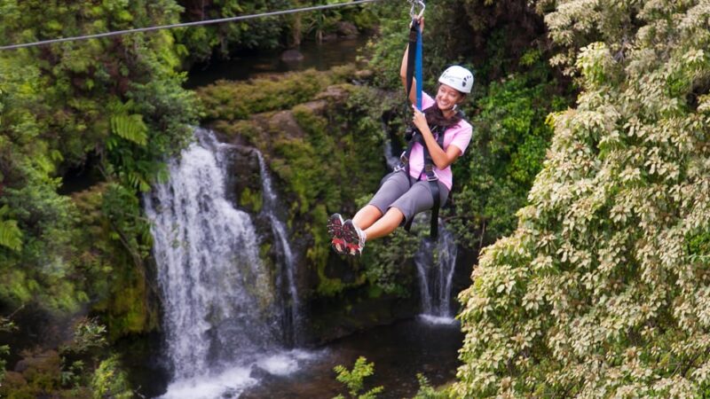 Hawaii: Big Island Hilo Zipline Tour - Tour Experience