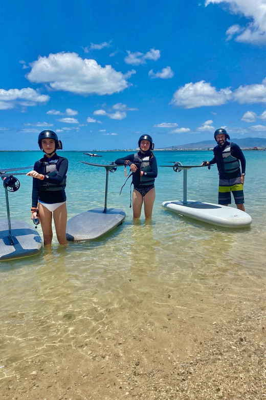 Hawaii: Electric Hydrofoil Surfing Group Lesson - Safety and Equipment