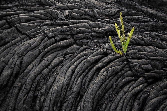 Hawaii Island Highlights: Coffee, Culture, & Craters - Additional Details