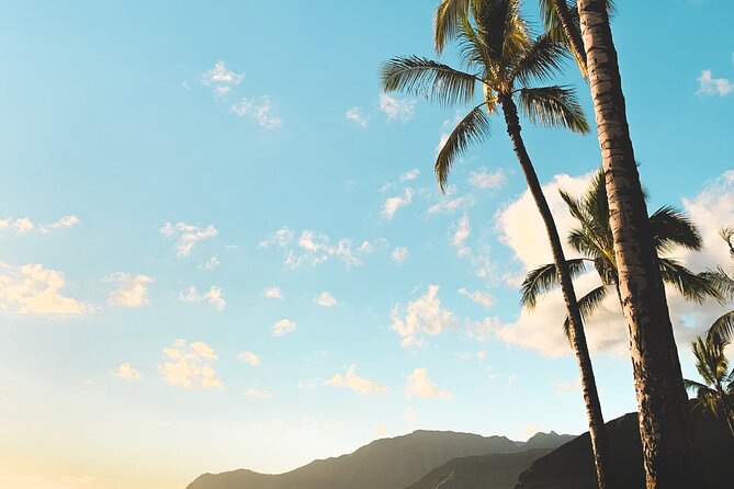 Hawaii, Oahu 1-Day Local Tour - Inclusions and Exclusions