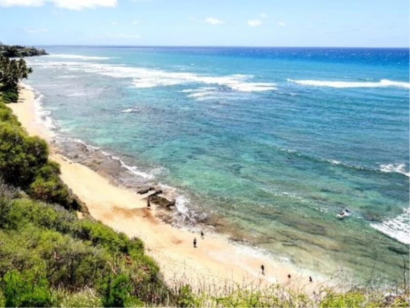Hawaii : Oahu Island Sightseeing and Food Combo Tour - Pickup and Drop-off Locations