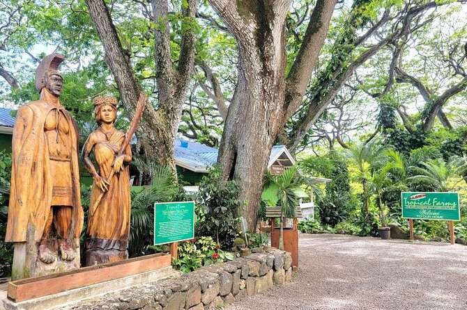 Hawaii Oahu Island Sightseeing and Food Combo Tour - Celebrated Sights on Tour