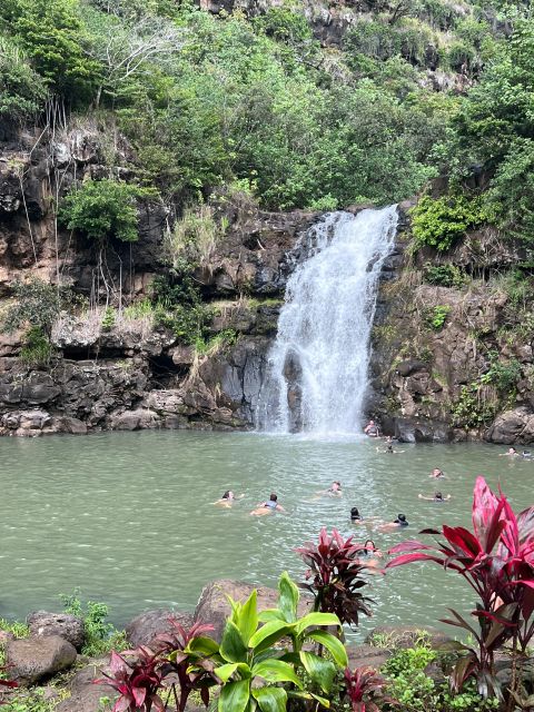 Hawaii: Pearl Harbor and North Shore Adventure - Exploring North Shore