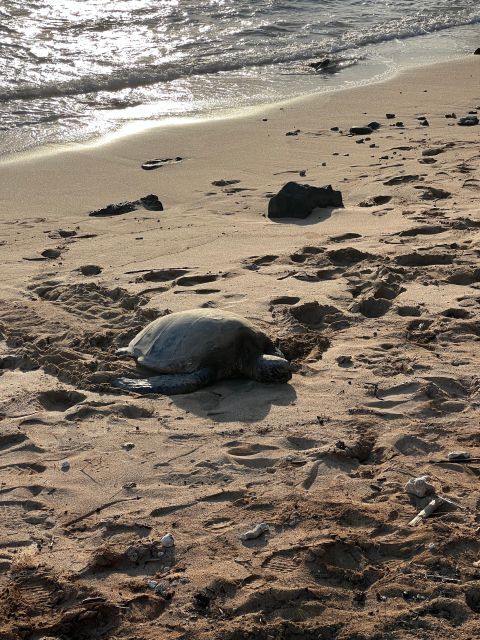 Hawaii: Pearl Harbor and North Shore Adventure - Frequently Asked Questions